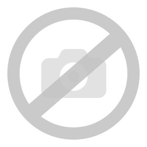 Engwe Engine PRO 2.0